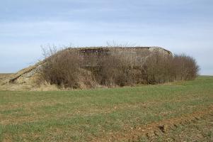 Ligne Maginot - MB341 - (Blockhaus pour canon) - L'ouvrage... Vue générale, malheureusement celui ci est entouré de ronces et autres plantes désagréables qui condamnent l'accès... Un retour avec sécateur et cisaille est envisagé...
