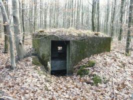 Ligne Maginot - BOIS de RITTERSHOFFEN d (Blockhaus pour arme infanterie) - 