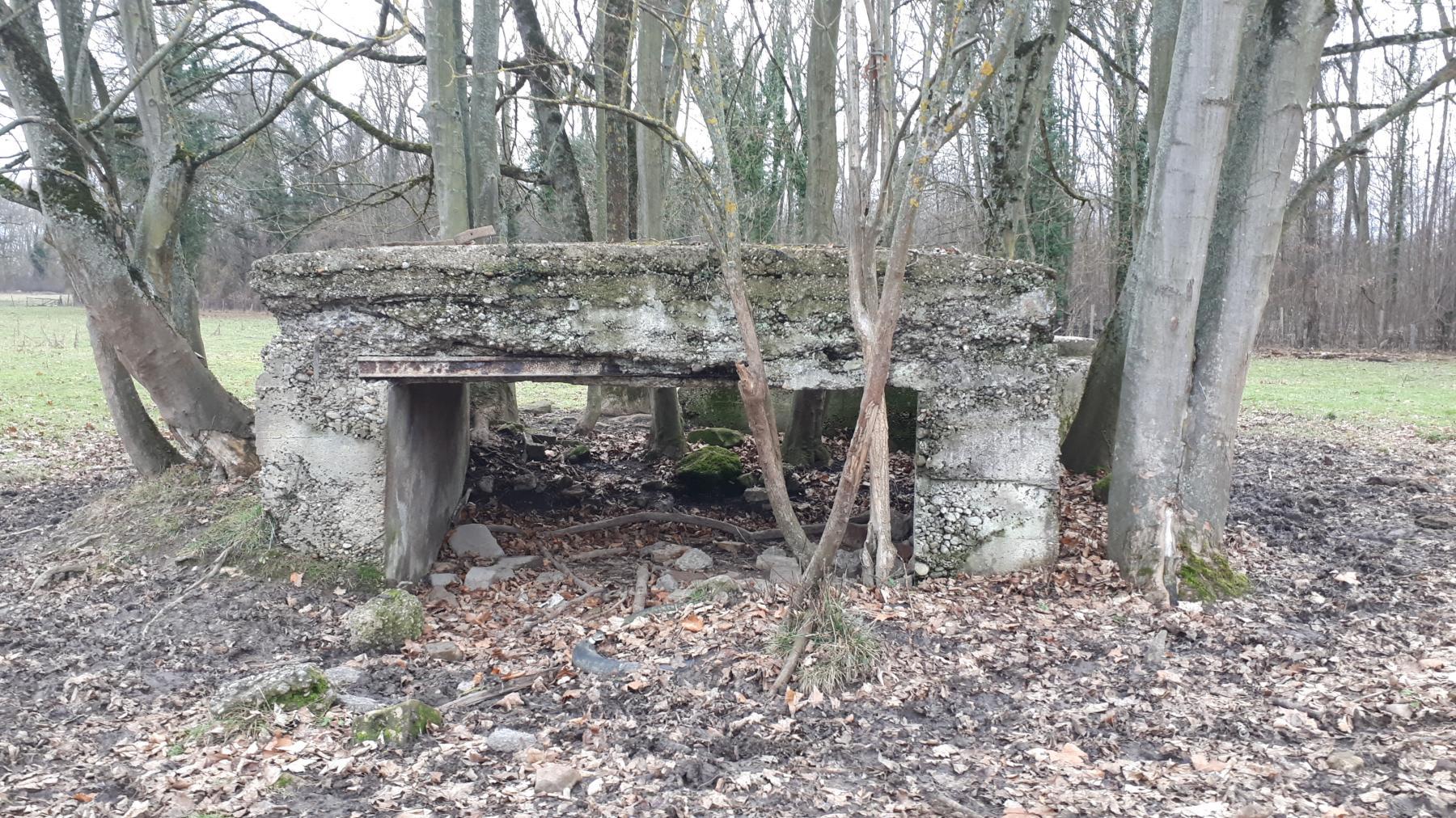 Ligne Maginot - GROSSBELTZWOERTH EST - (Blockhaus pour canon) - Vue frontale