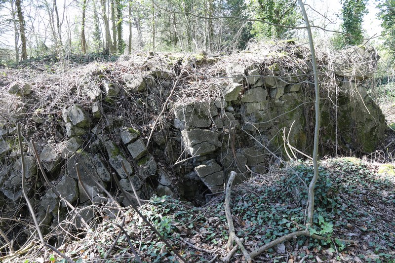 Ligne Maginot - 36/3 - ARTZENHEIM NORD - (Casemate d'infanterie) - Ruines de la casemate. Visite avec accord de la propriétaire