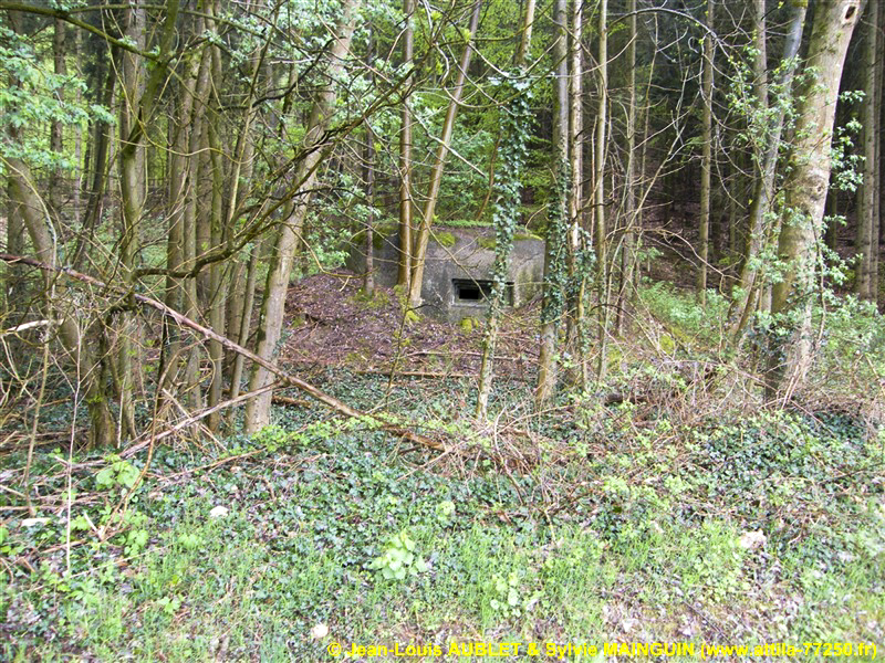 Ligne Maginot - PFAFFENBRONN 3 - (Blockhaus pour arme infanterie) - 