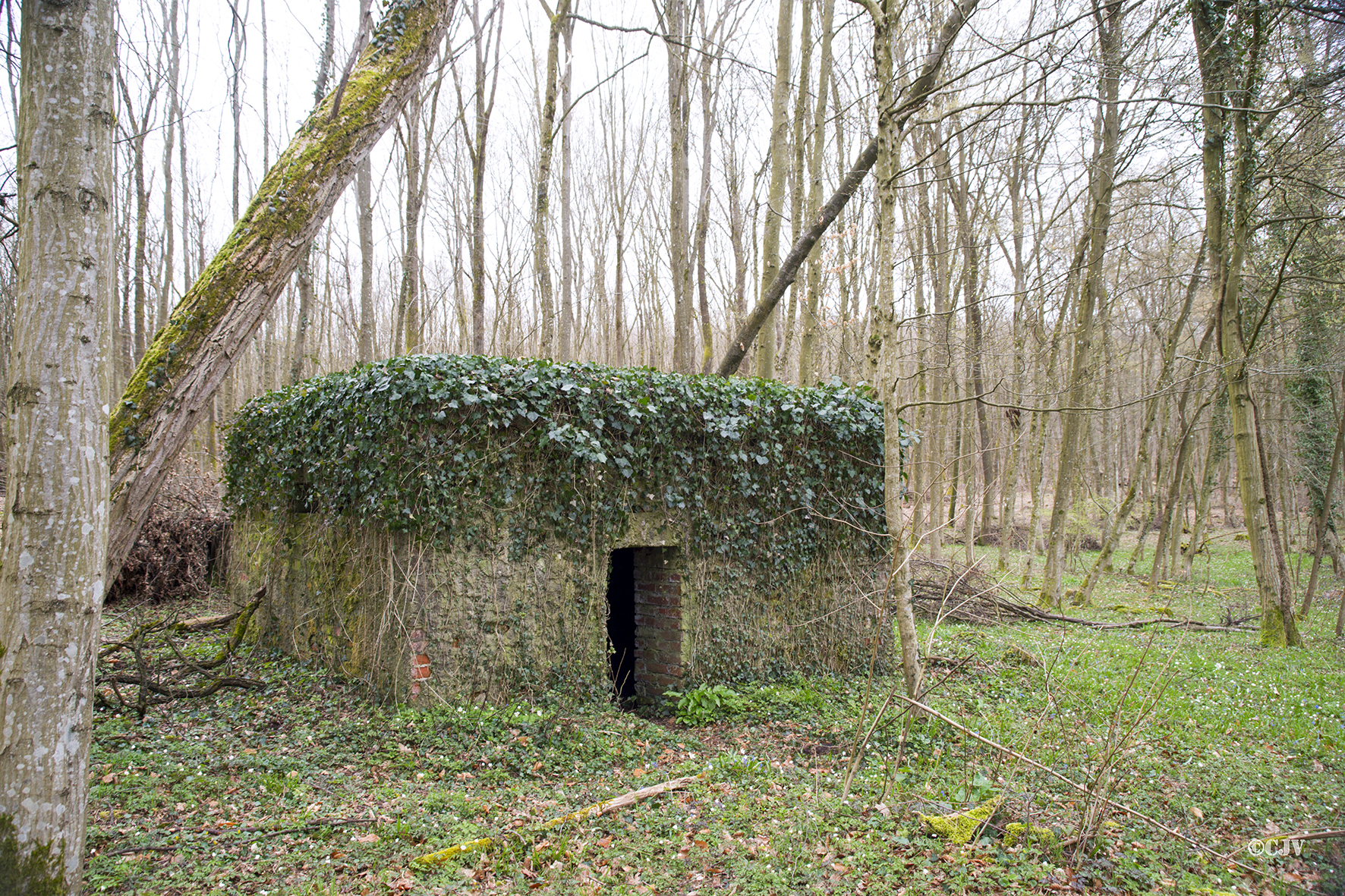 Ligne Maginot - ROUTE d'ESCHBACH ( Blockhaus pour arme infanterie ) - 