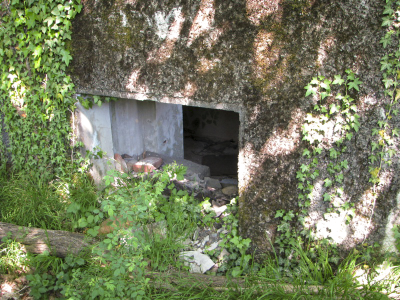 Ligne Maginot - SCHERHOL 2 - (Blockhaus pour arme infanterie) - Entrée du canon