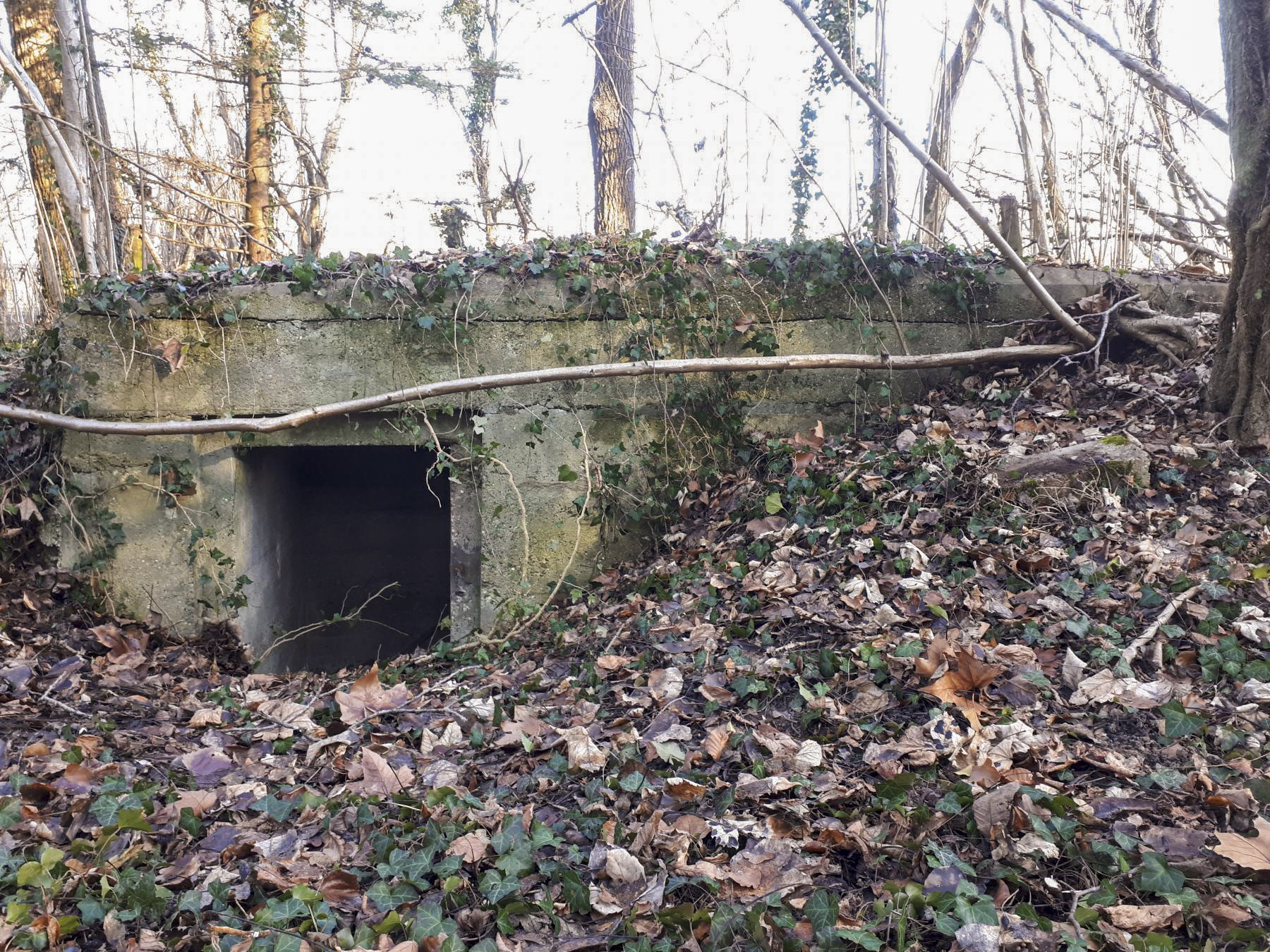 Ligne Maginot - WALDHOF EST - (Blockhaus pour arme infanterie) - Une des 2 entrées