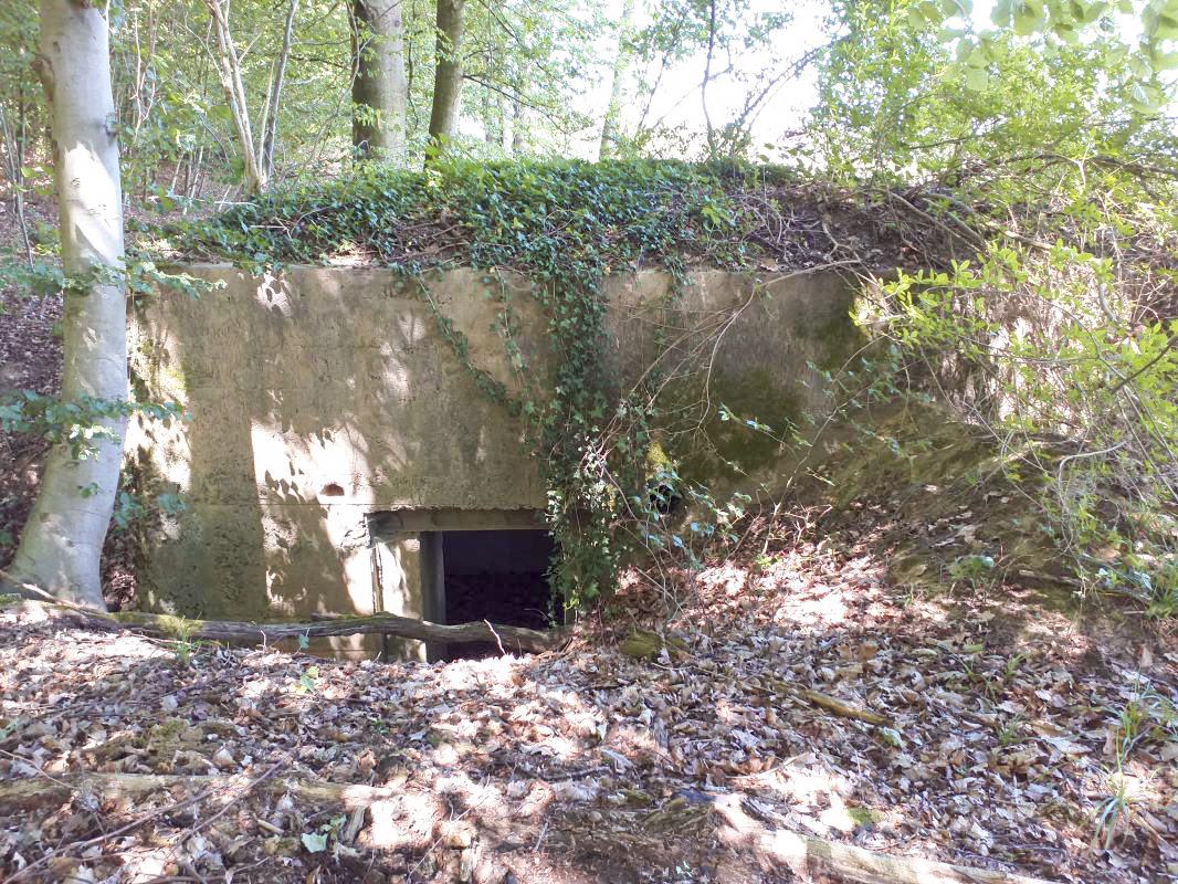 Ligne Maginot - BOIS DE HOFFEN 2 - (Blockhaus pour arme infanterie) - L'entrée