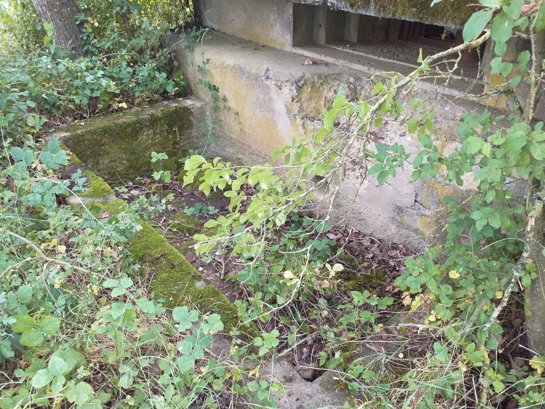 Ligne Maginot - KOHLFELD - (Blockhaus pour canon) - Fosse à douilles