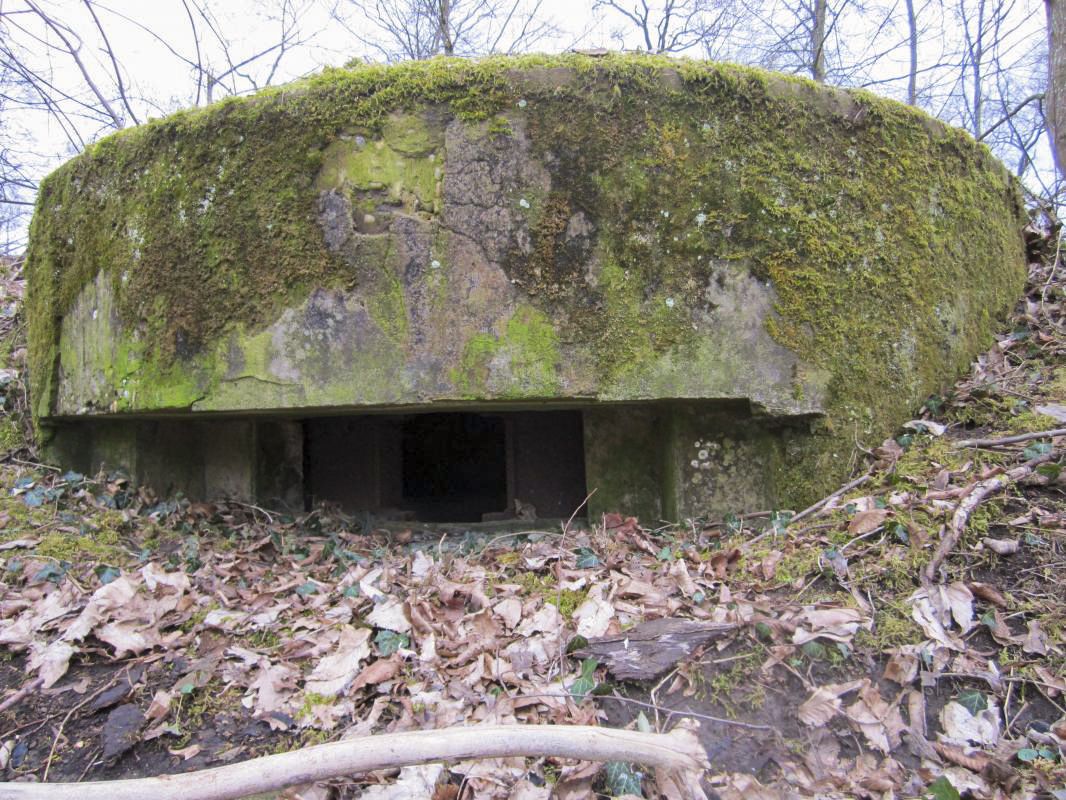 Ligne Maginot - STEINMUEHLE 4 - (Blockhaus pour arme infanterie) - 
