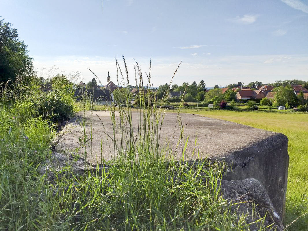 Ligne Maginot - TRIMBACH EST - (Blockhaus pour arme infanterie) - Dalle du bloc et vue sur Trimbach