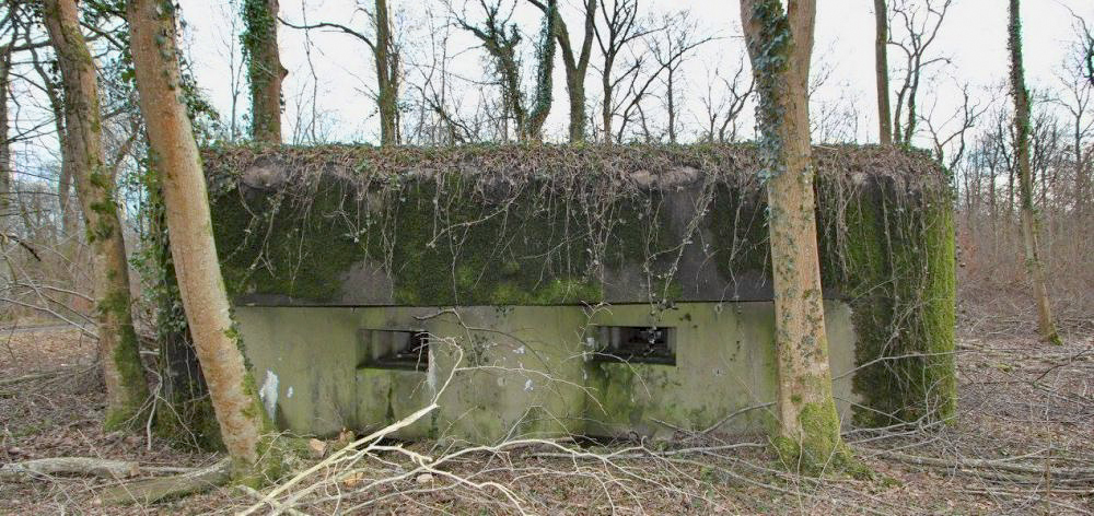 Ligne Maginot - Casemate du Bois de Rittershoffen 2 - 