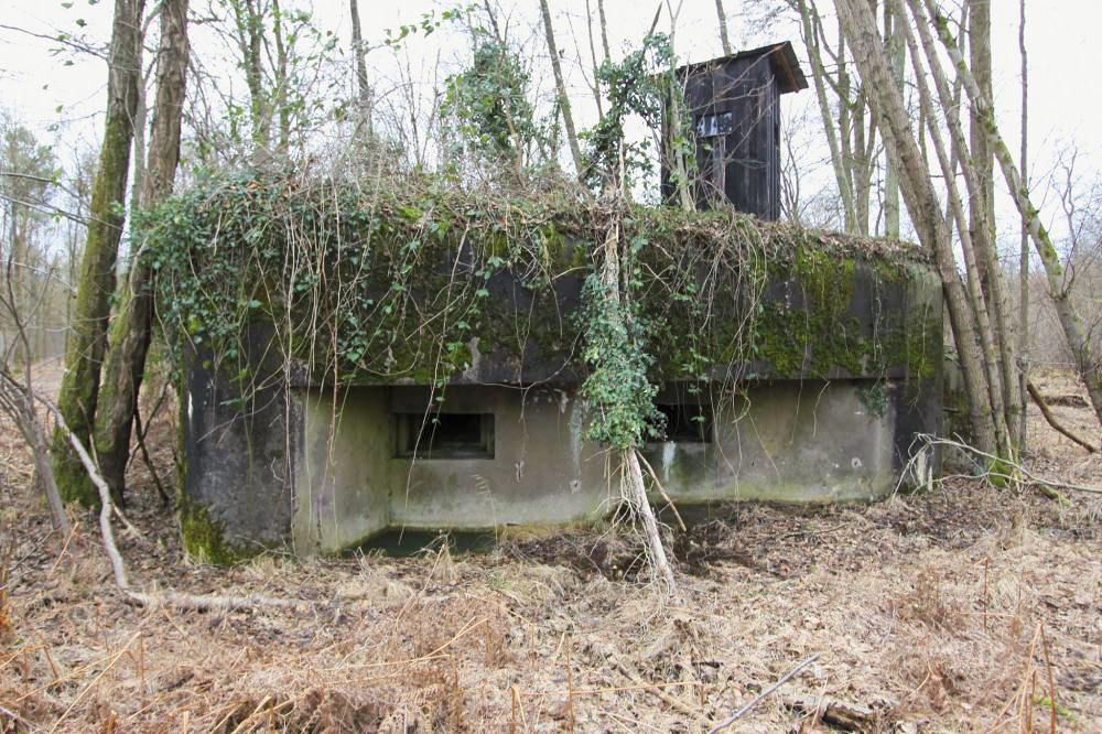 Ligne Maginot - BOIS DE RITTERSHOFFEN 4 - (Casemate d'infanterie - Simple) - 