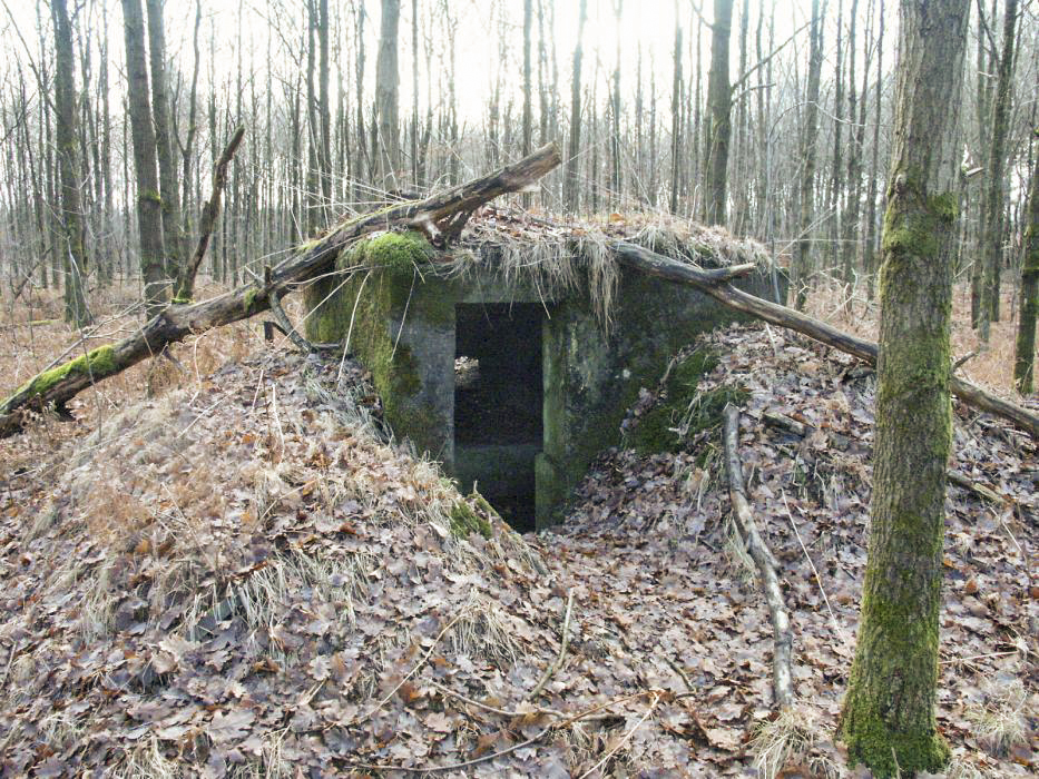 Ligne Maginot - BOIS de RITTERSHOFFEN c (Blockhaus pour arme infanterie) - 