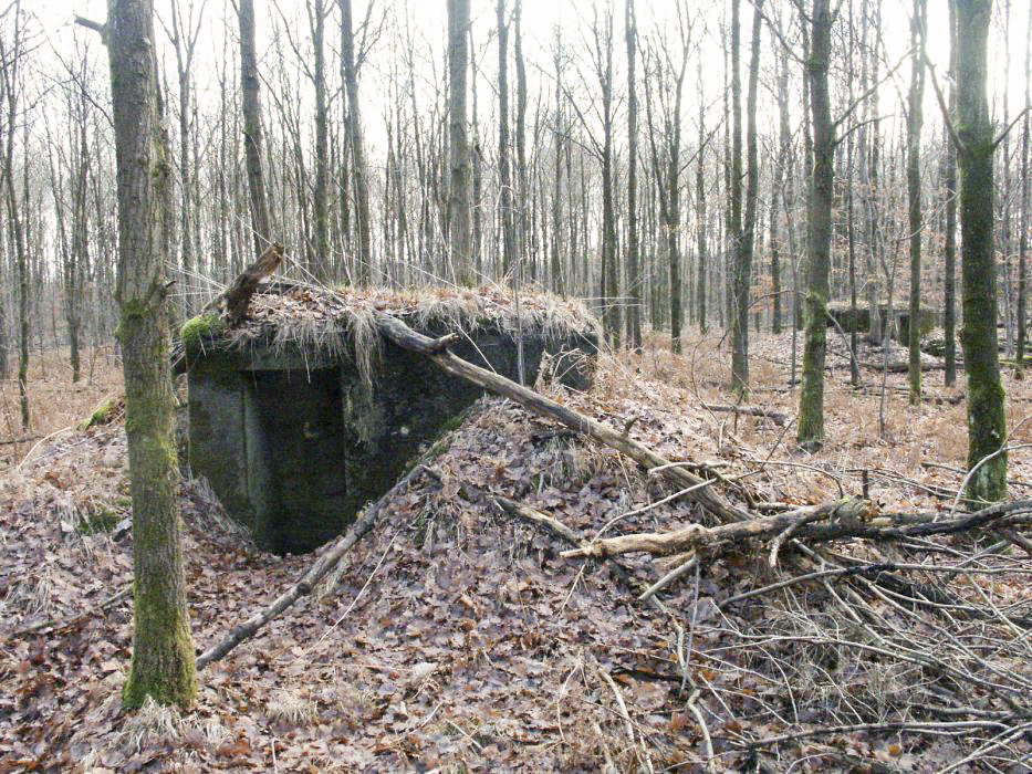 Ligne Maginot - BOIS de RITTERSHOFFEN c (Blockhaus pour arme infanterie) - 
