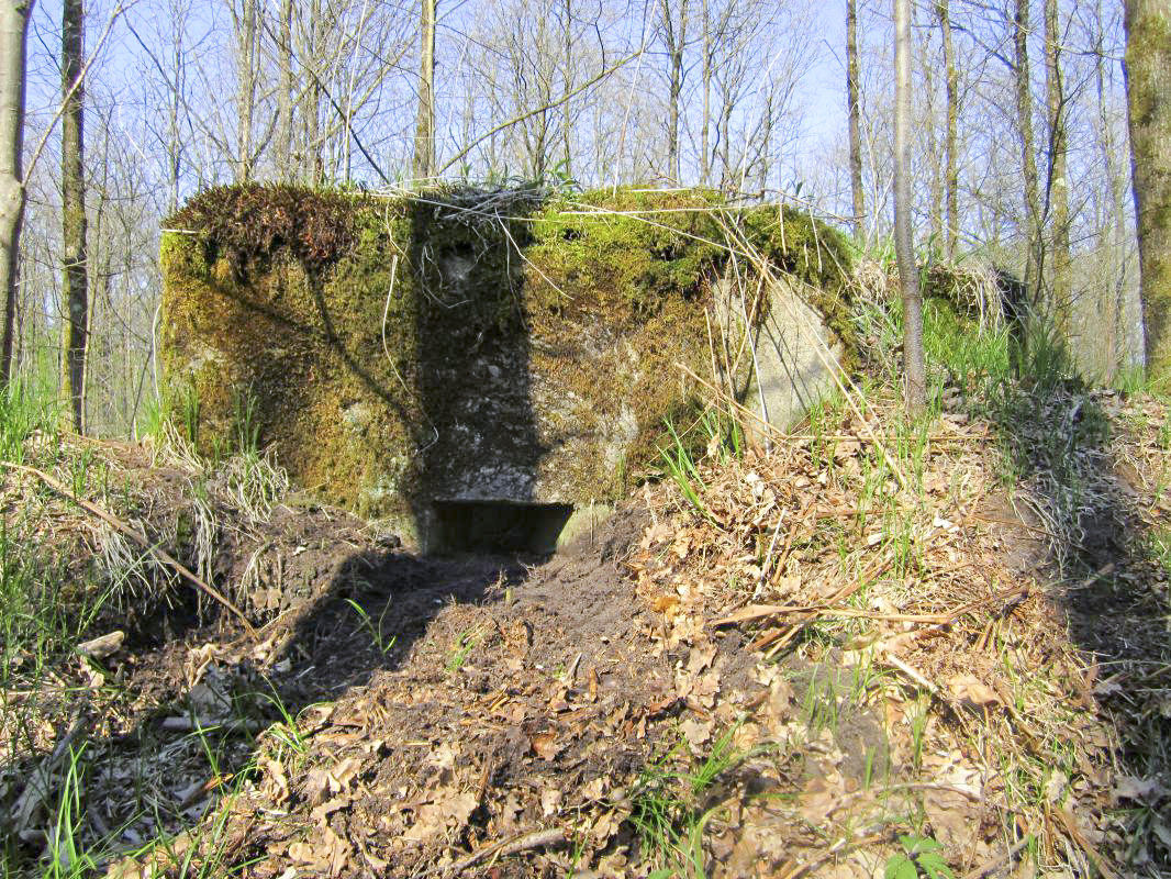 Ligne Maginot - BOIS DE RITTERSHOFFEN c - (Blockhaus pour arme infanterie) - Créneau droit