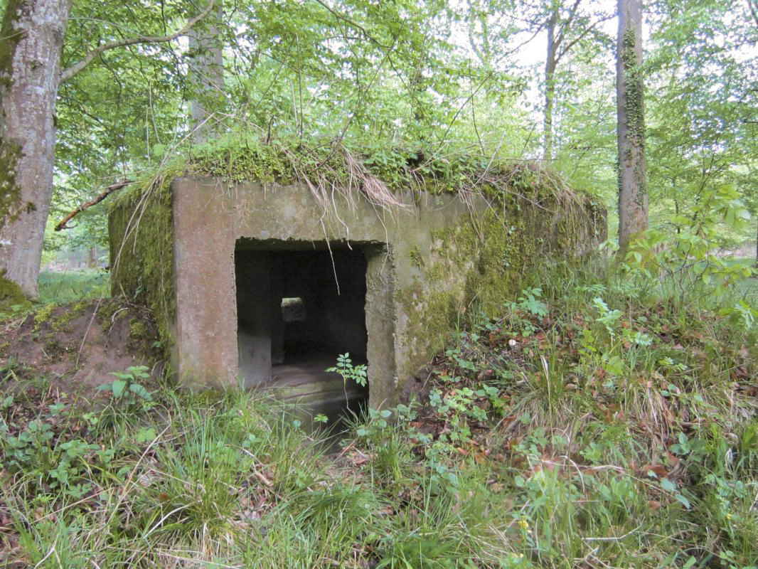Ligne Maginot - BOIS de RITTERSHOFFEN f (Blockhaus pour arme infanterie) - L'entrée