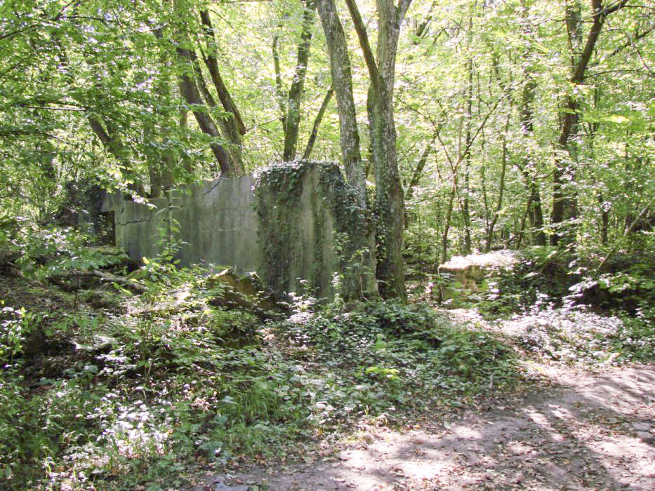 Ligne Maginot - ELZANGE - (Camp de sureté) - Les ruines du camp