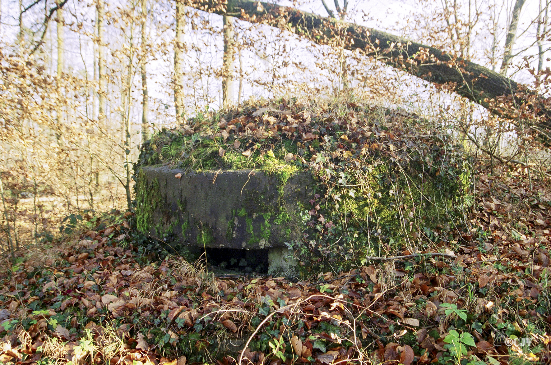 Ligne Maginot - KLOSTERGRABEN 2 - (Blockhaus pour arme infanterie) - 