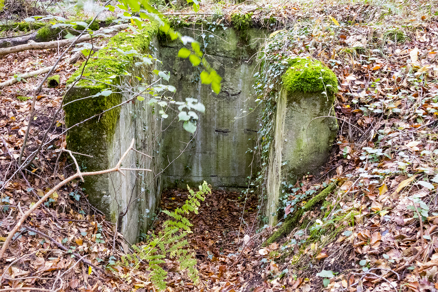 Ligne Maginot - KLOSTERGRABEN 5 - (Blockhaus pour arme infanterie) - 
