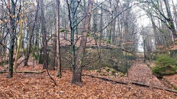 Ligne Maginot - HOCHWALD (FOSSé ANTICHAR DU) - (Obstacle antichar) - Le mur d'escarpe entre la casemate C6 et l'extrémité du fossé de la casemate C5