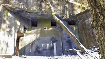 Ligne Maginot - HOCHWALD C3 - (Casemate d'infanterie - double) - La chambre de tir basse