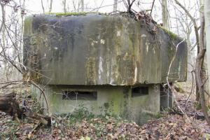 Ligne Maginot - 6 - SIEFFERTS KOEPFEL - (Blockhaus pour arme infanterie) - 