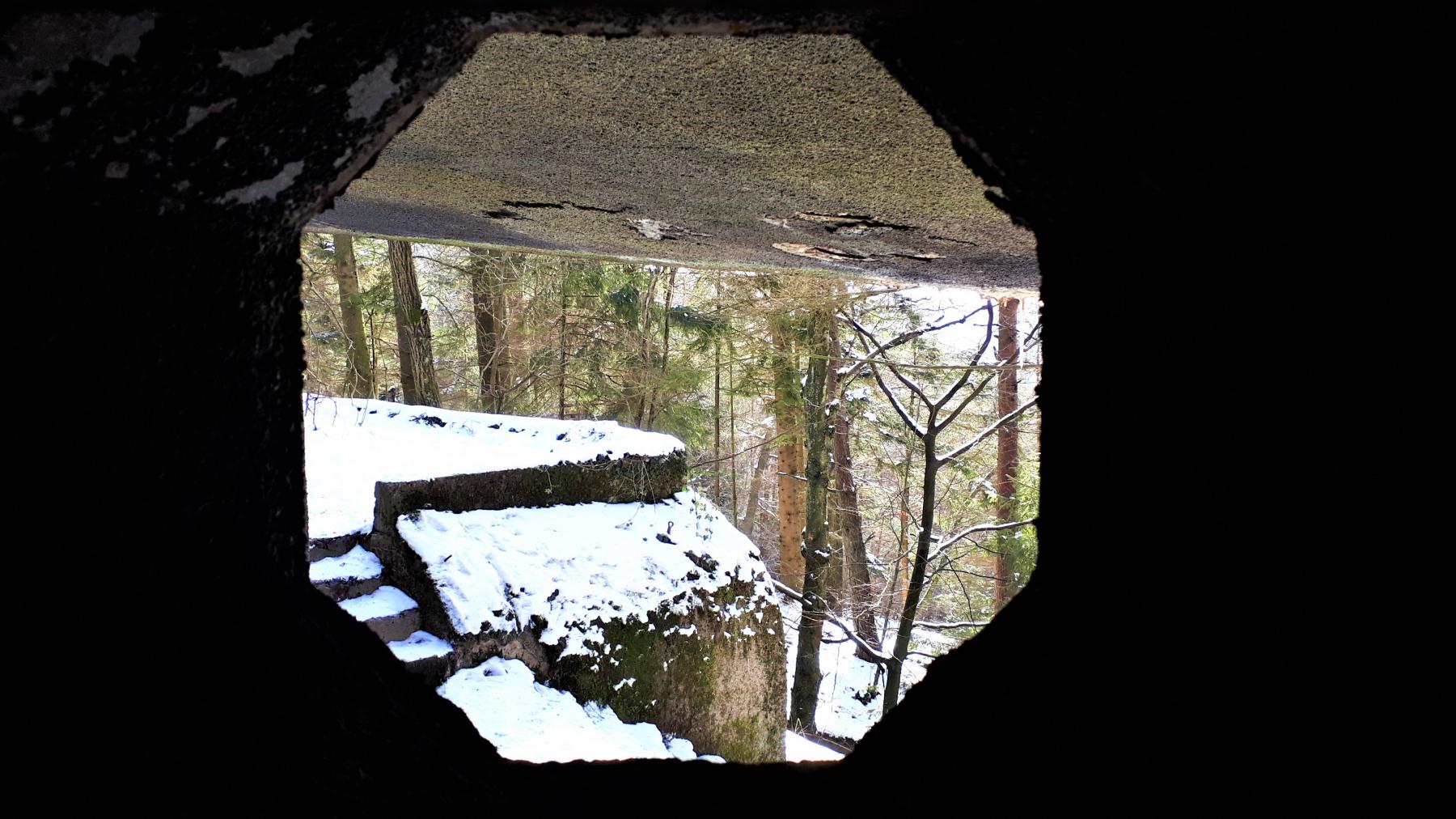 Ligne Maginot - HOCHWALD C3 - (Casemate d'infanterie - double) - Vue depuis le créneau FM de façade de la chambre de tir haute