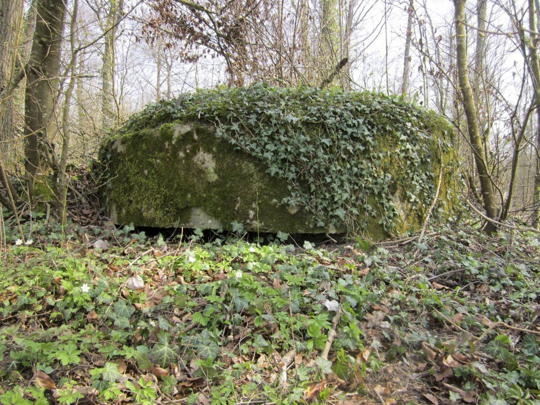 Ligne Maginot - MAISON FORESTIERE DE RITTERSHOFFEN 1 - (Blockhaus pour arme infanterie) - 