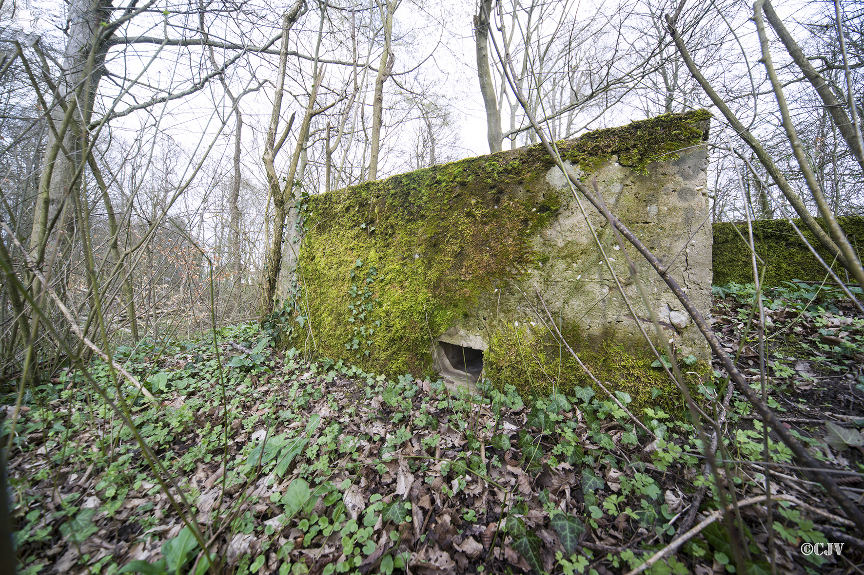 Ligne Maginot - NIEDERBETSCHDORF 3 (Blockhaus pour arme infanterie) - 