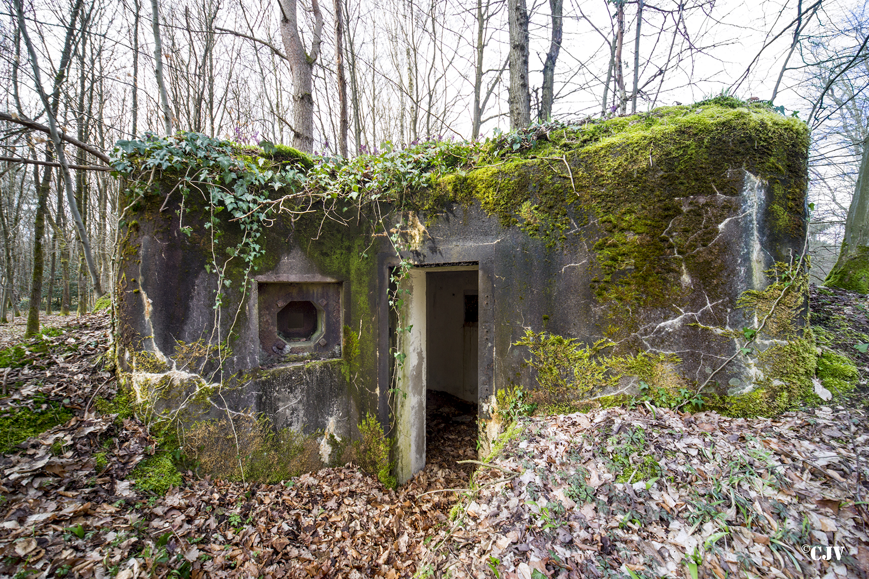 Ligne Maginot - SANDMUEHLE Sud (Blockhaus pour arme infanterie) - 
