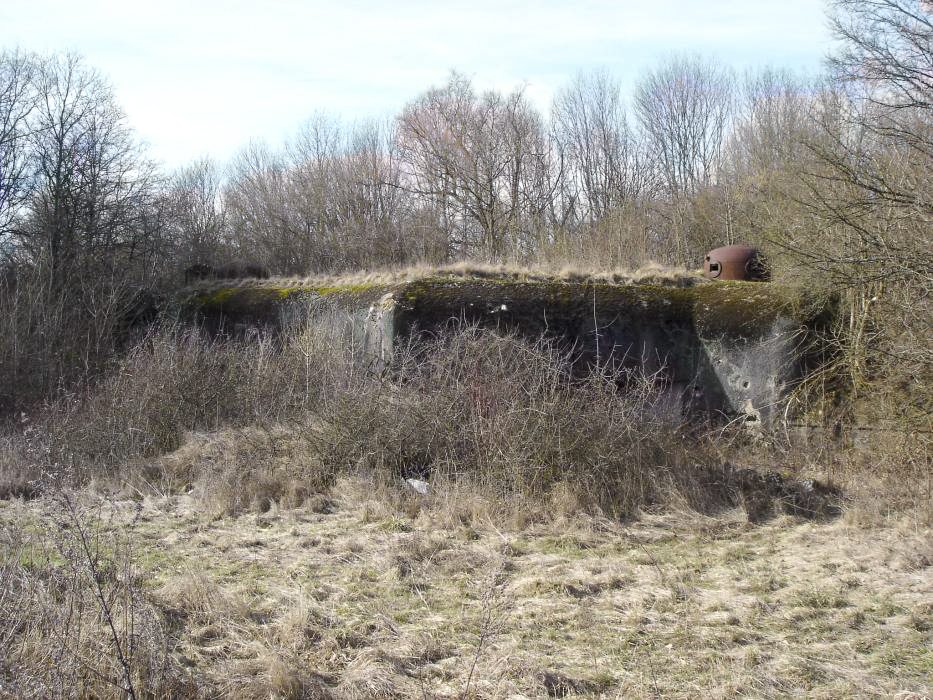 Ligne Maginot - GRAND BOIS - (Casemate d'infanterie) - Vue générale
