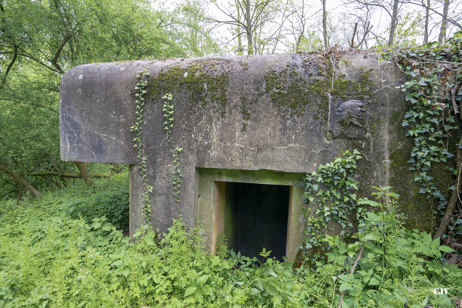 Ligne Maginot - SELTZBACH 7 - (Blockhaus pour arme infanterie) - 
