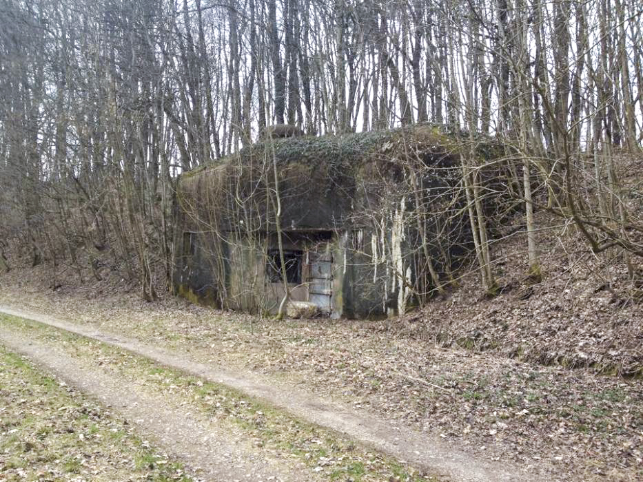 Ligne Maginot - FREUDENBERG (QUARTIER SCHIESSECK - I/37° RIF) - (Abri) - Le coffre d'entrée Ouest