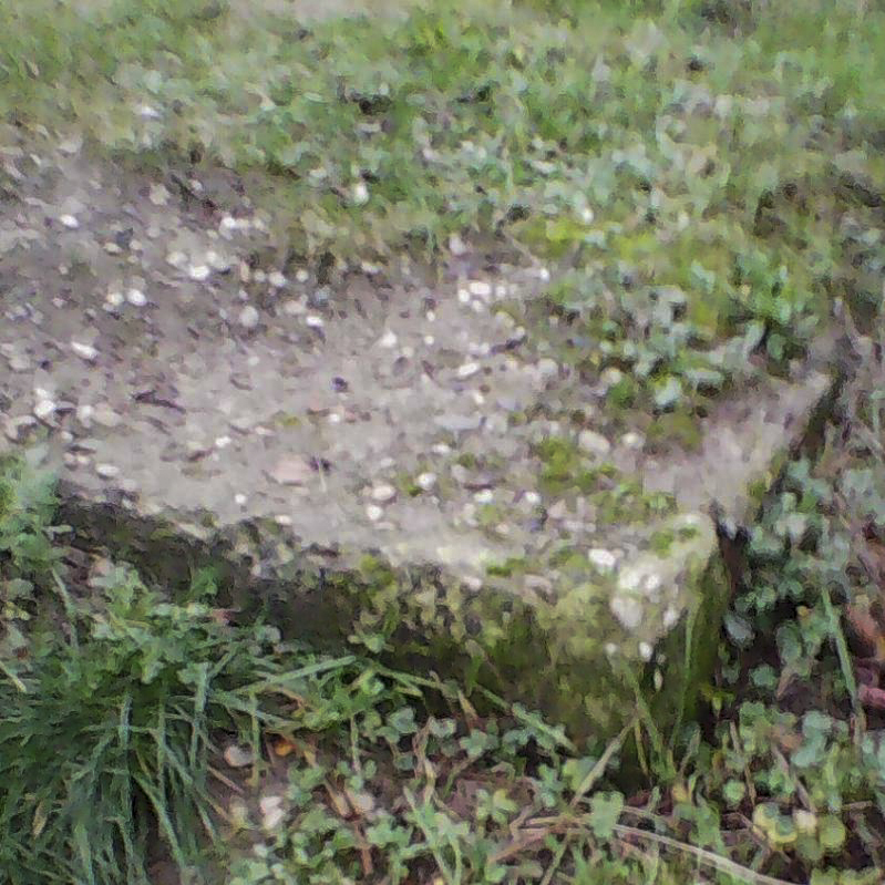 Ligne Maginot - AUENHEIM 5 - (Blockhaus pour canon) - L'un des coins visibles du blockhaus