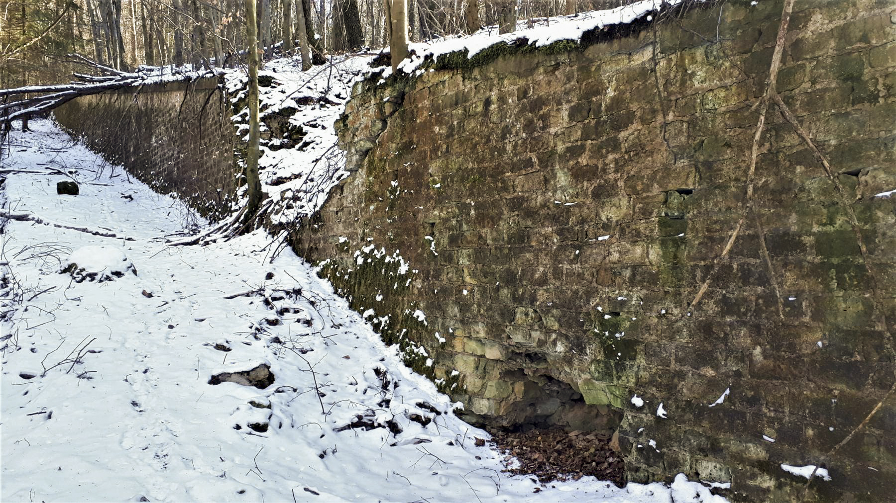 Ligne Maginot - HOCHWALD (fossé antichar du) (Obstacle antichar) - Le fossé antichar au niveau de la casemate C1