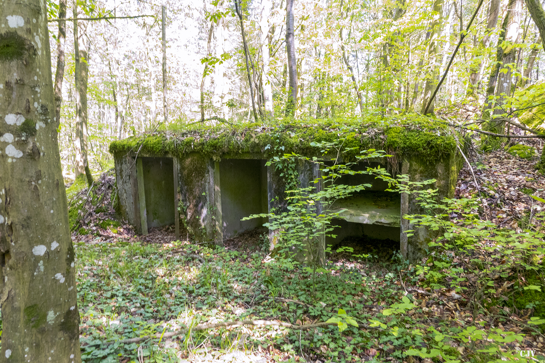 Ligne Maginot - DRACHENBRONN Sud Est ( Casemate d'infanterie ) - Les niches à mines à l'extérieur