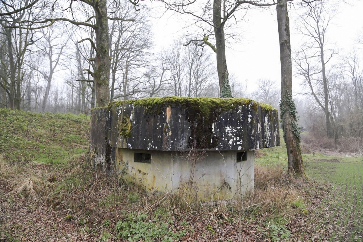 Ligne Maginot - 7 - WANTZENAU DIGUE 4 - (Blockhaus pour arme infanterie) - 