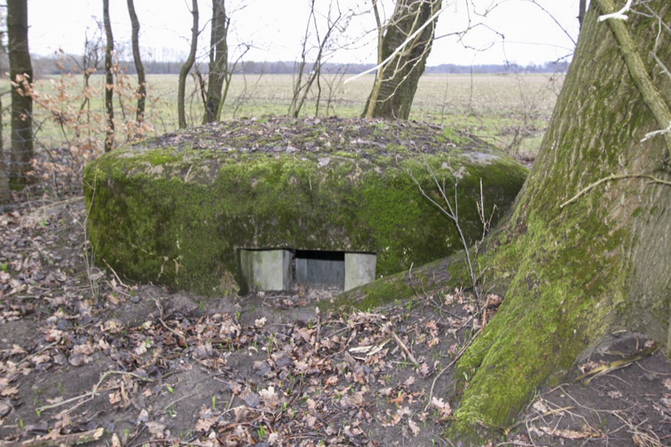 Ligne Maginot - BANGWOG Sud 1 (Blockhaus pour arme infanterie) - 