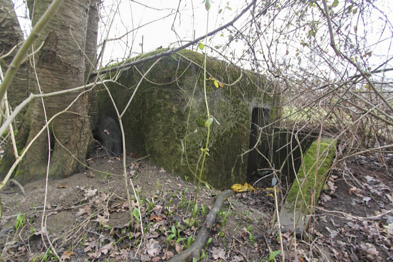 Ligne Maginot - BARRWALD Est (Blockhaus pour arme infanterie) - 