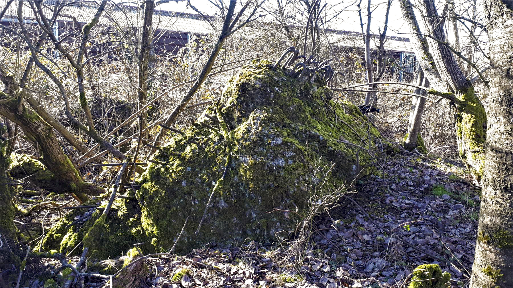 Ligne Maginot - SCHMELZBACH 9 - (Blockhaus de type indéterminé) - 