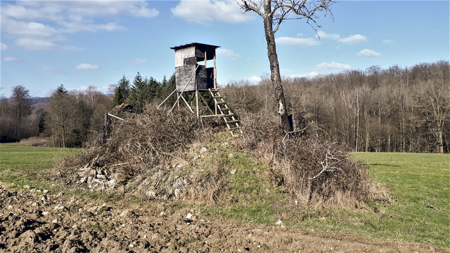 Ligne Maginot - SCHMELZBACH 6 - (Blockhaus pour arme infanterie) - 