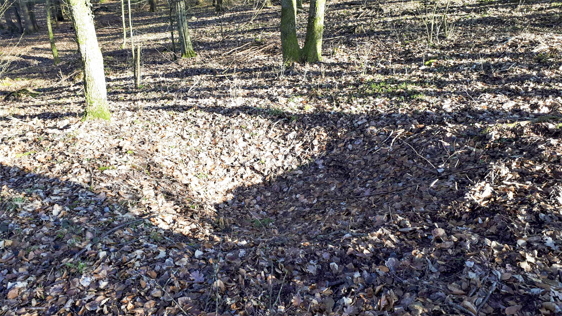 Ligne Maginot - SCHMELZBACH EST - (Casemate d'infanterie - double) - Trou d'homme dans le remblais coté Est
