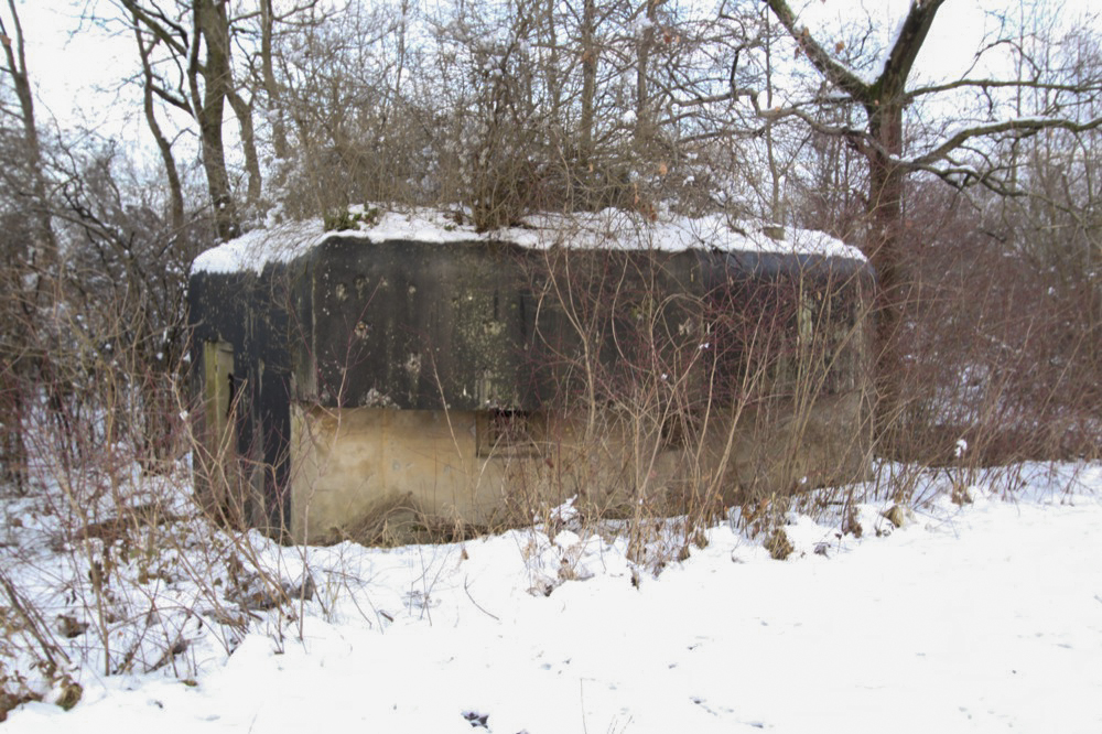 Ligne Maginot - HERRENKOPF NORD - (Blockhaus pour arme infanterie) - 