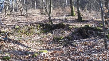Ligne Maginot - GUNSTHAL COL - Fondations de baraquement entre les deux blockhaus
