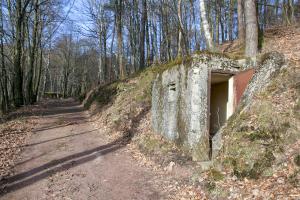 Ligne Maginot - FM78 - BETZENTHAL 5 - (Blockhaus pour arme infanterie) - Vue vers l'entrée, la casemate Col de Guensthal Ouest est visible au fond