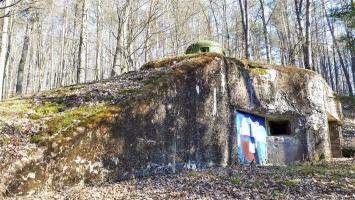 Ligne Maginot - GUNSTHAL FERME EST - (Blockhaus pour arme infanterie) - Vue sur la chambre de tir