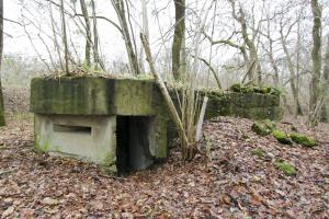 Ligne Maginot - 12 - WANTZENAU DIGUE 1 - (Blockhaus pour arme infanterie) - 
