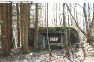 Ligne Maginot - Blockhaus du Falkenstein - 