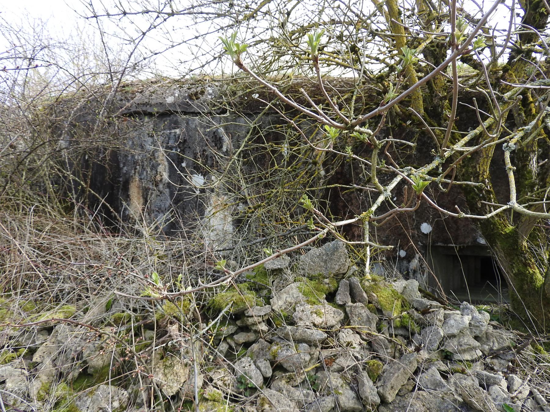 Ligne Maginot - AB25 - (Blockhaus pour canon) - La façade de tir.