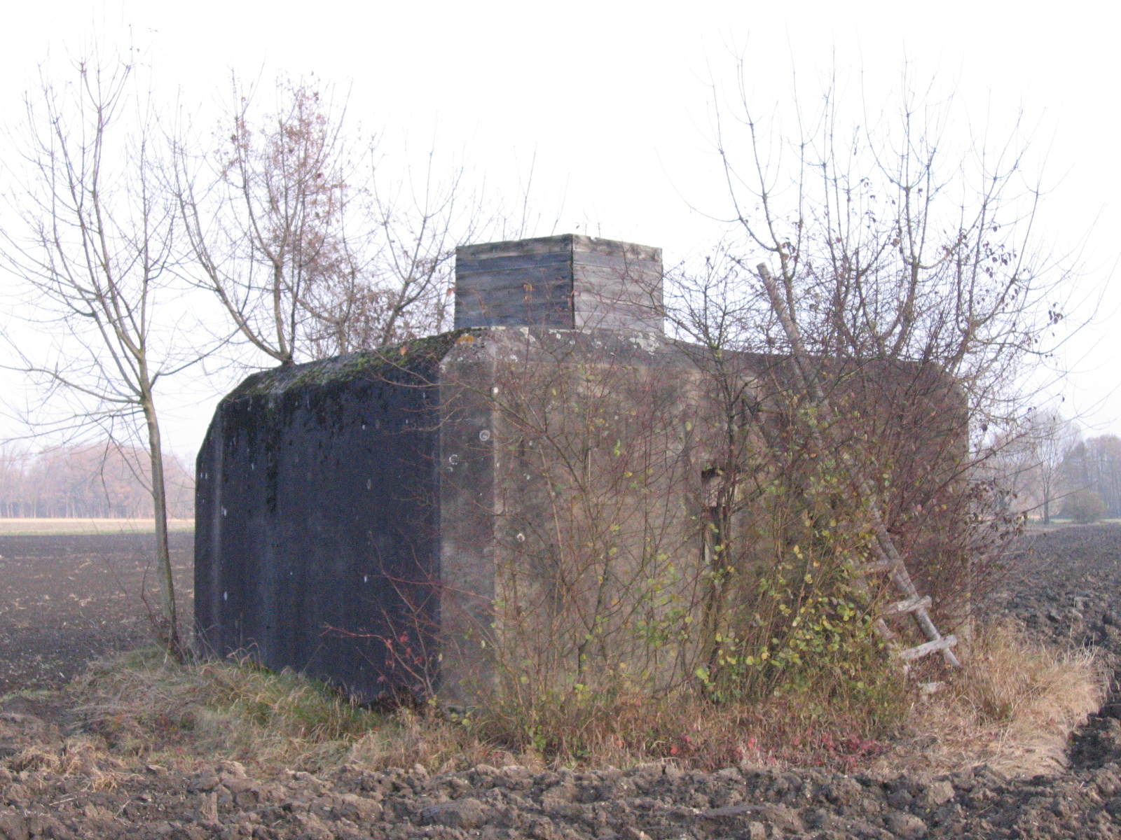 Ligne Maginot - HILGEN EST - (Blockhaus pour arme infanterie) - 