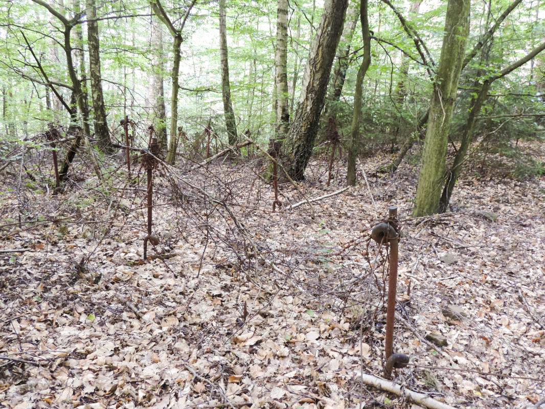 Ligne Maginot - GUNSTHAL COL OUEST - (Blockhaus pour arme infanterie) - Restes du réseau anti-personnel 
