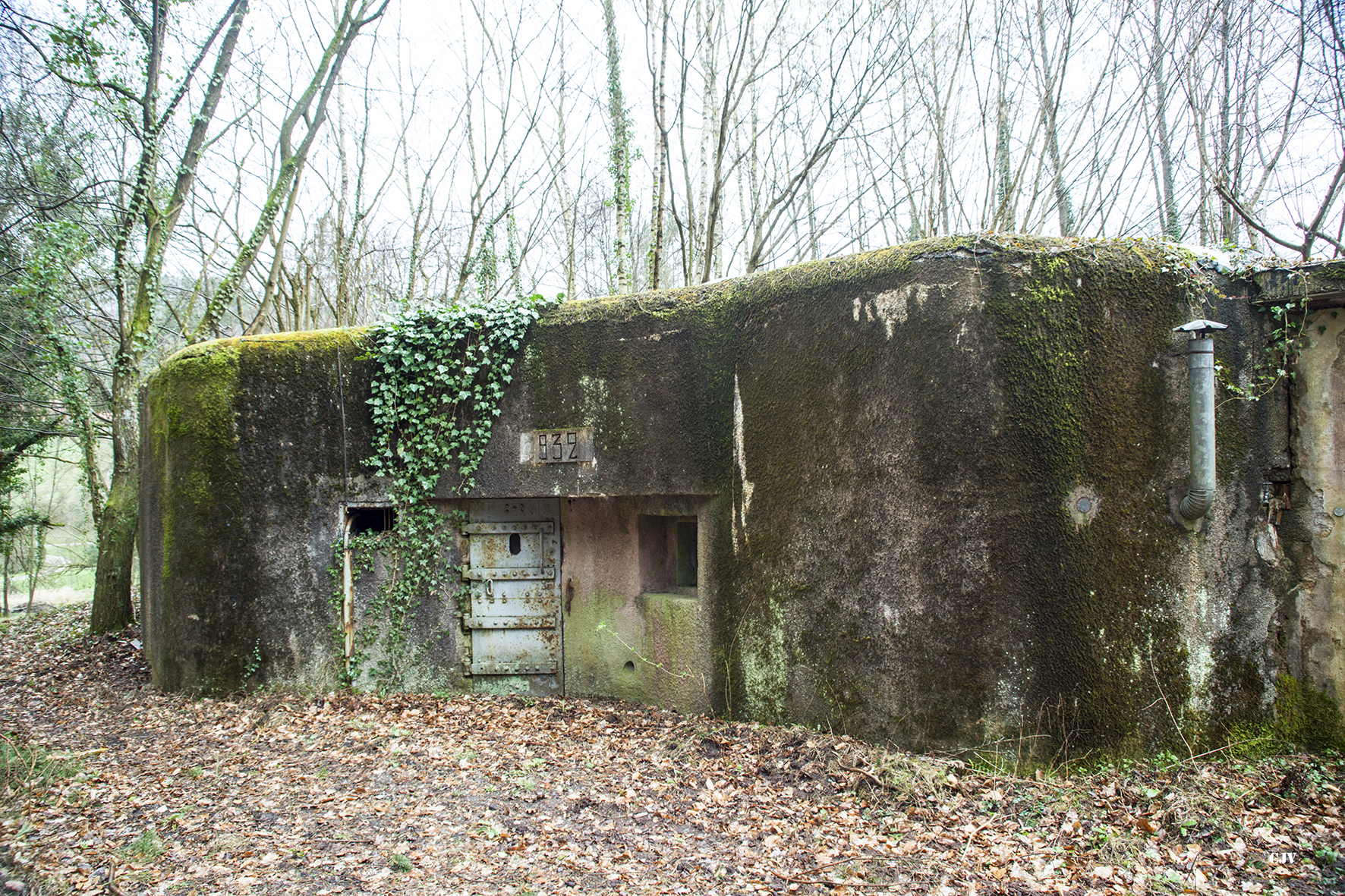 Ligne Maginot - NAGELSTHAL - (Blockhaus pour arme infanterie) - Façade de l'entrée